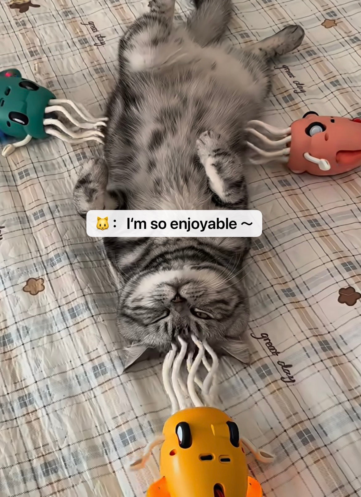 Magical Dancing Octopus- Your Furry Friend's New Favorite Relaxation Tool